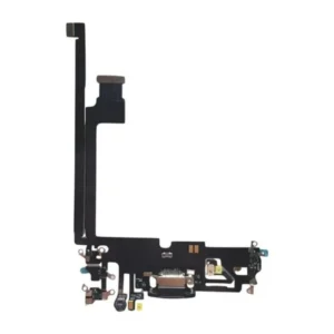 Flex de Carga para iPhone 12 Pro Max